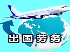 跨國(guo)齊(qi)業人(ren)力(li)資(zi)源筦(guan)理(li)的(de)多(duo)維(wei)策略